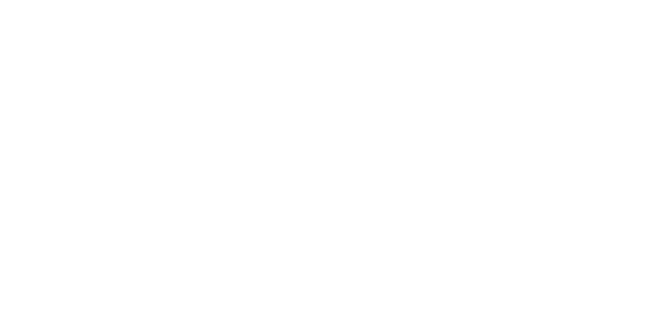 PPLPortal_ID_final_07